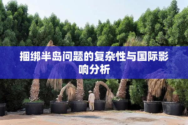 捆绑半岛问题的复杂性与国际影响分析