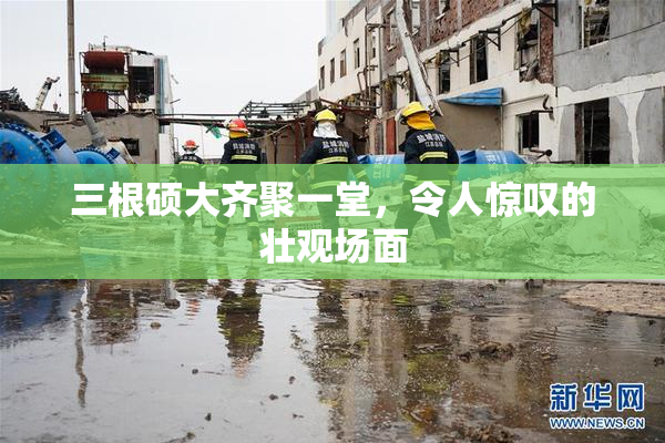三根硕大齐聚一堂，令人惊叹的壮观场面