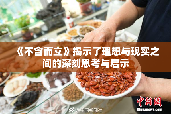 《不含而立》揭示了理想与现实之间的深刻思考与启示