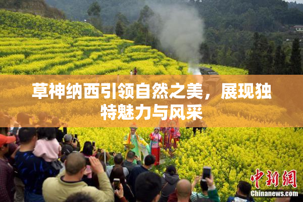 草神纳西引领自然之美，展现独特魅力与风采
