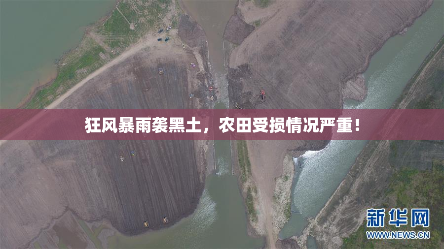 狂风暴雨袭黑土，农田受损情况严重！