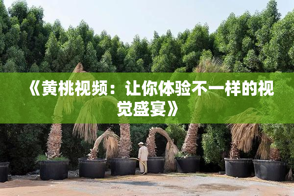 《黄桃视频：让你体验不一样的视觉盛宴》