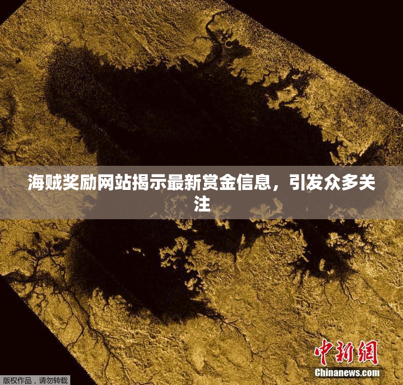 海贼奖励网站揭示最新赏金信息，引发众多关注