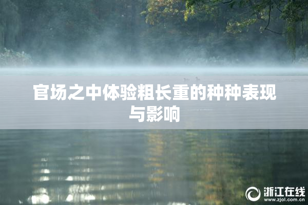 官场之中体验粗长重的种种表现与影响