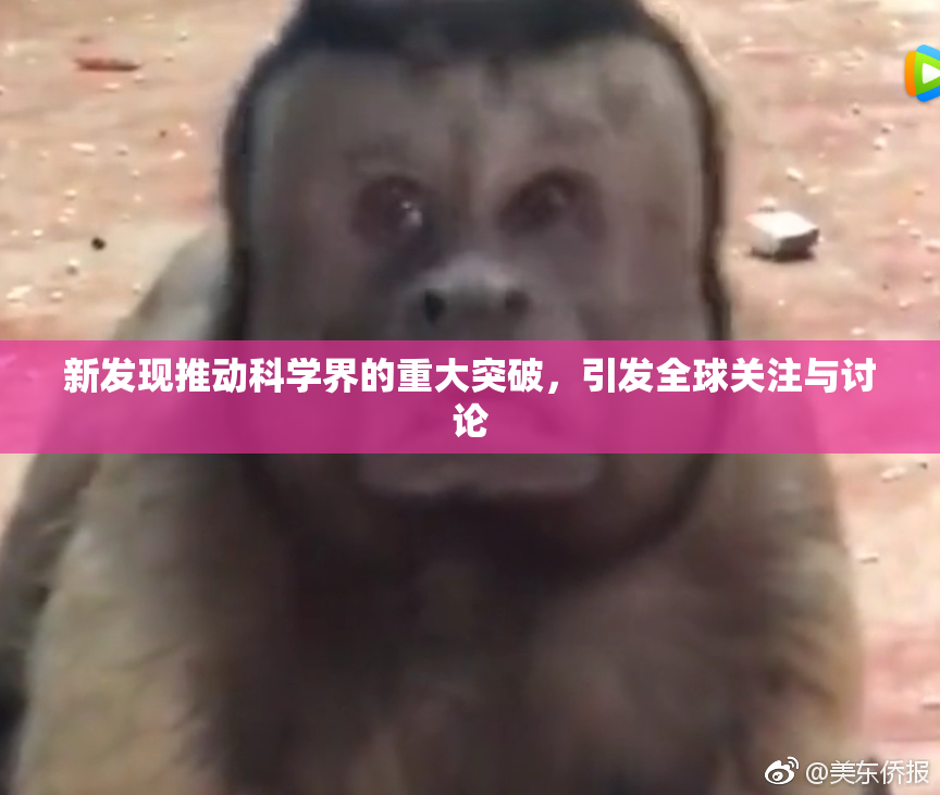 新发现推动科学界的重大突破，引发全球关注与讨论