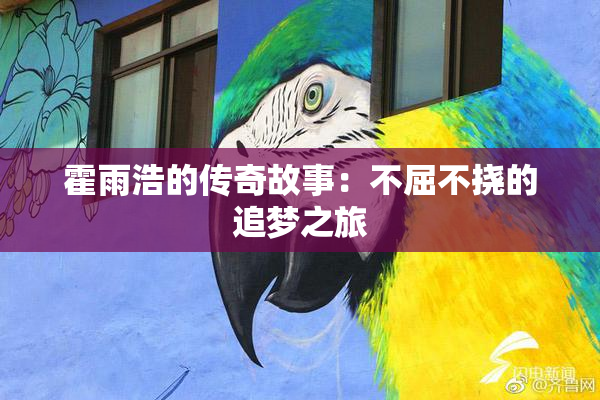 霍雨浩的传奇故事：不屈不挠的追梦之旅