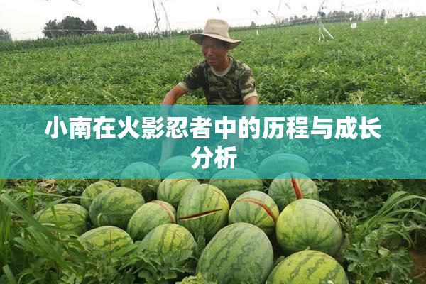 小南在火影忍者中的历程与成长分析