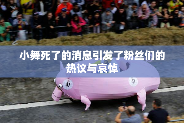 小舞死了的消息引发了粉丝们的热议与哀悼