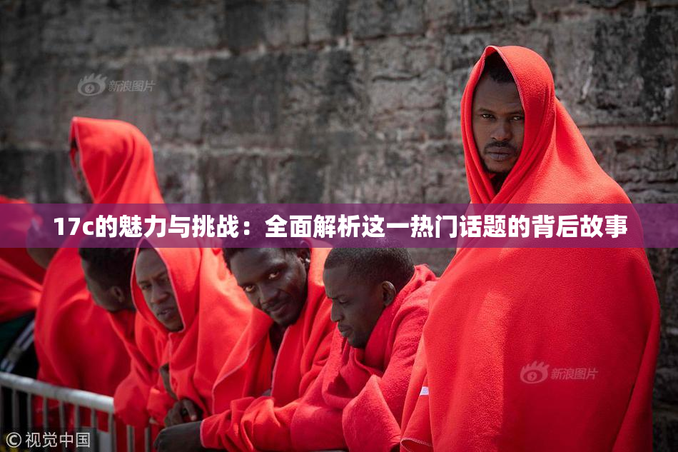 17c的魅力与挑战：全面解析这一热门话题的背后故事