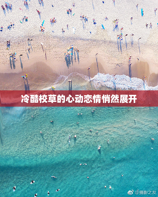 冷酷校草的心动恋情悄然展开