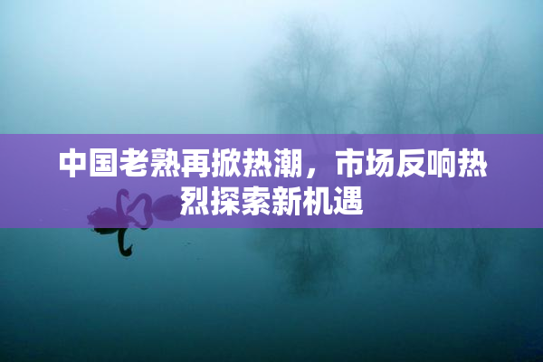 中国老熟再掀热潮，市场反响热烈探索新机遇