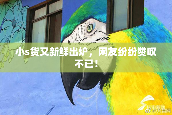 小s货又新鲜出炉，网友纷纷赞叹不已！