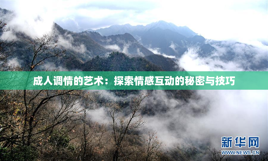 成人调情的艺术：探索情感互动的秘密与技巧