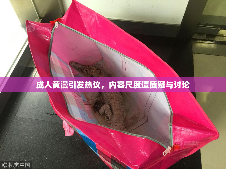 成人黄漫引发热议，内容尺度遭质疑与讨论