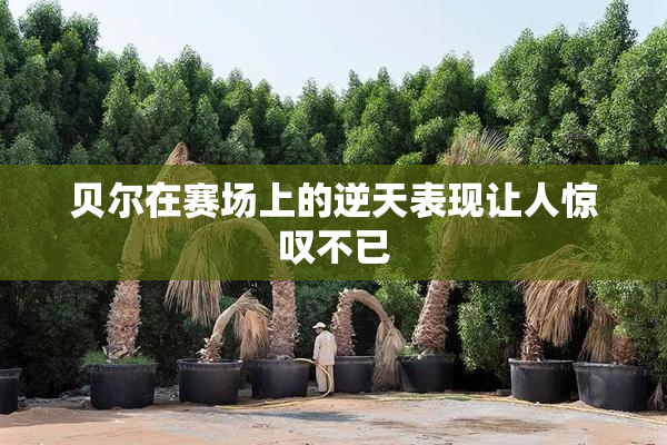 贝尔在赛场上的逆天表现让人惊叹不已
