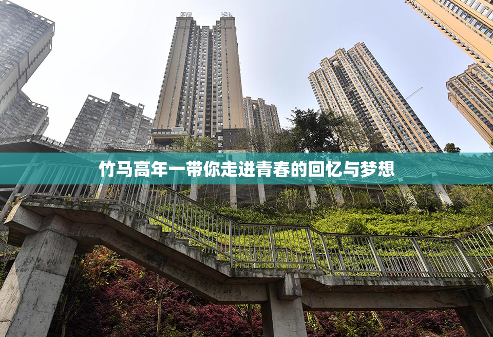 竹马高年一带你走进青春的回忆与梦想