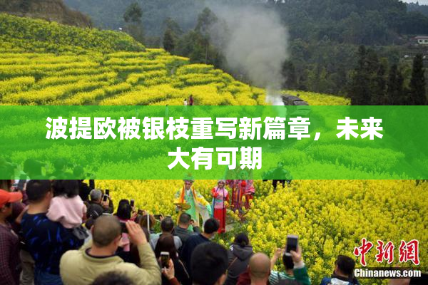 波提欧被银枝重写新篇章，未来大有可期