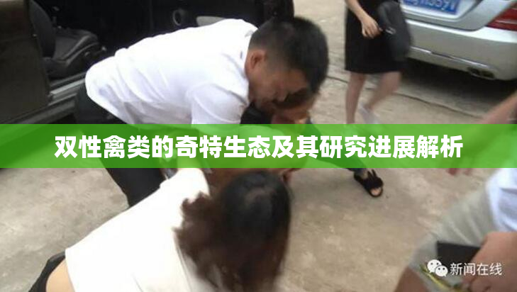 双性禽类的奇特生态及其研究进展解析