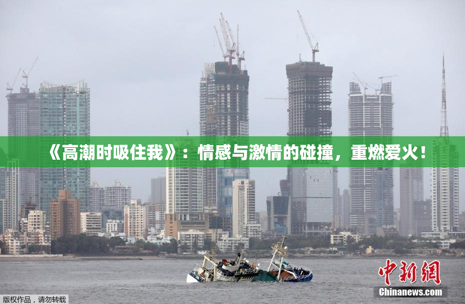 《高潮时吸住我》：情感与激情的碰撞，重燃爱火！