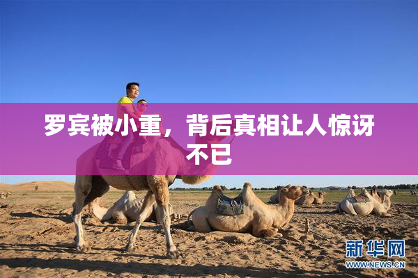 罗宾被小重，背后真相让人惊讶不已