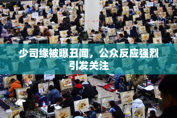 少司缘被曝丑闻，公众反应强烈引发关注