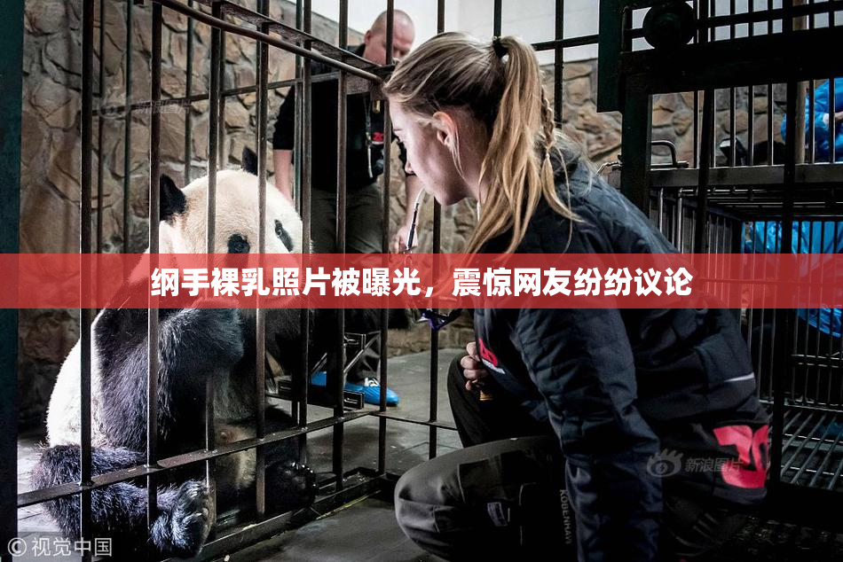 纲手裸乳照片被曝光，震惊网友纷纷议论
