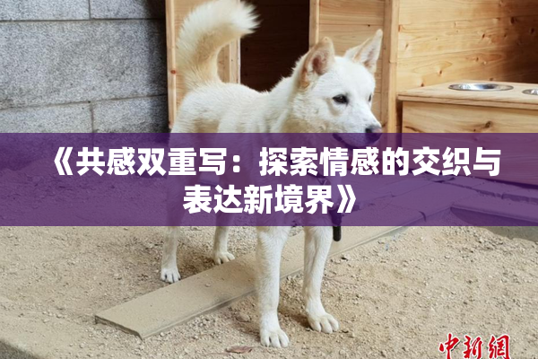 《共感双重写：探索情感的交织与表达新境界》