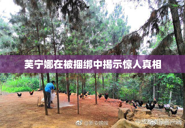 芙宁娜在被捆绑中揭示惊人真相