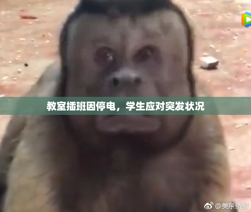 教室插班因停电，学生应对突发状况