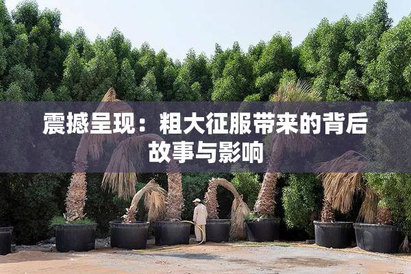 震撼呈现：粗大征服带来的背后故事与影响