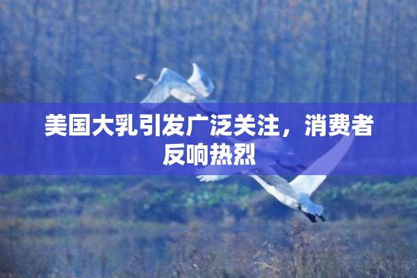 美国大乳引发广泛关注，消费者反响热烈