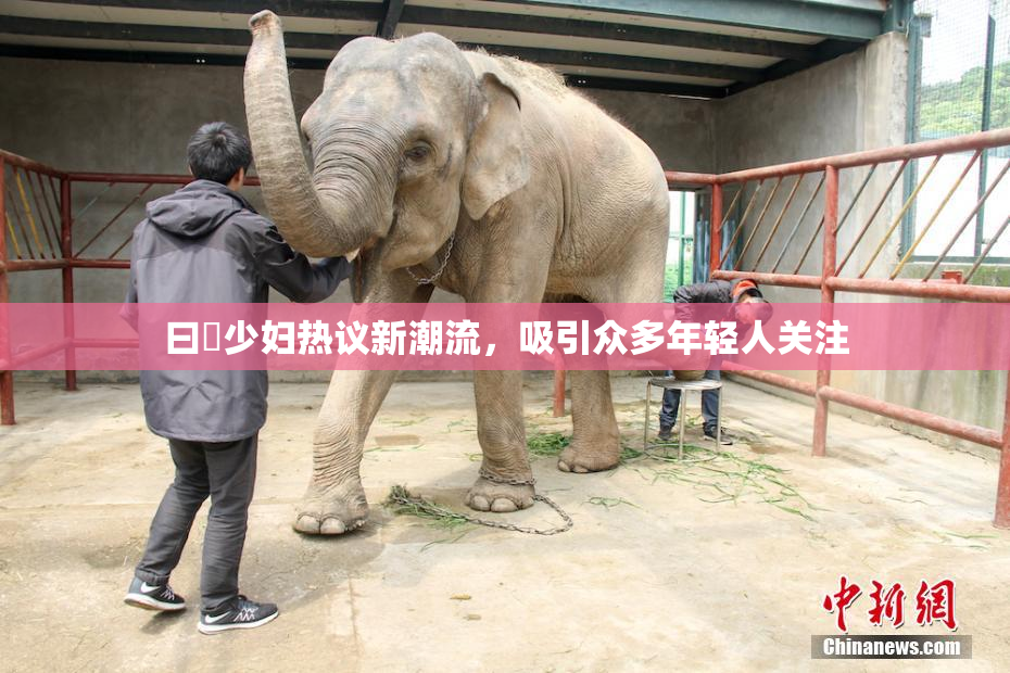 曰夲少妇热议新潮流，吸引众多年轻人关注