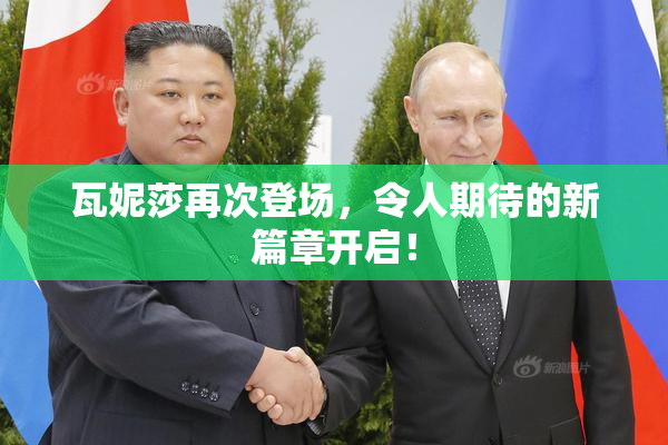 瓦妮莎再次登场，令人期待的新篇章开启！