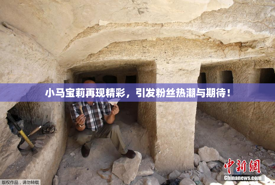 小马宝莉再现精彩，引发粉丝热潮与期待！