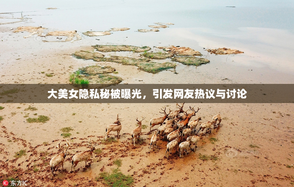 大美女隐私秘被曝光，引发网友热议与讨论