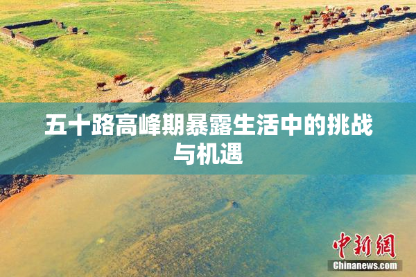 五十路高峰期暴露生活中的挑战与机遇