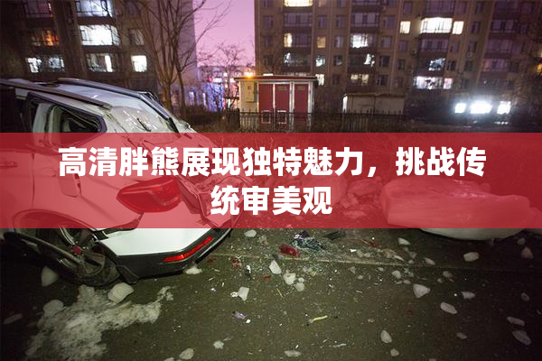 高清胖熊展现独特魅力，挑战传统审美观