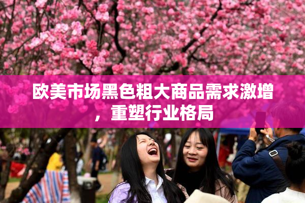 欧美市场黑色粗大商品需求激增，重塑行业格局