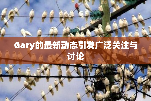 Gary的最新动态引发广泛关注与讨论
