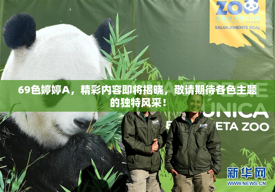 69色婷婷A，精彩内容即将揭晓，敬请期待各色主题的独特风采！