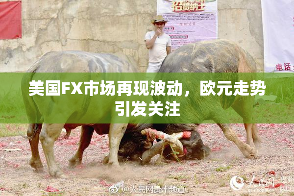 美国FX市场再现波动，欧元走势引发关注