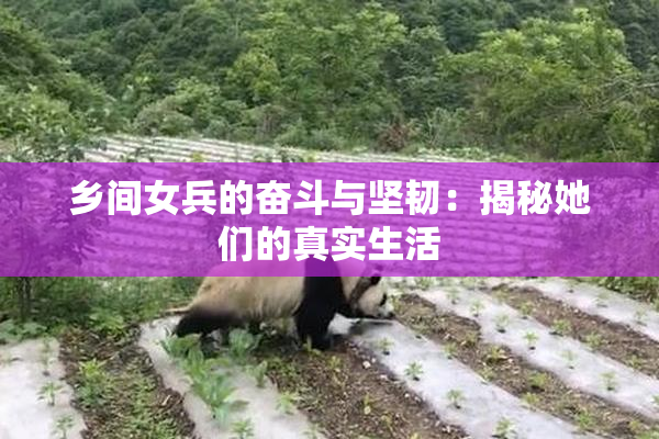 乡间女兵的奋斗与坚韧：揭秘她们的真实生活