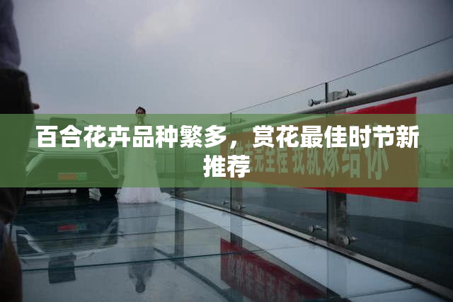 百合花卉品种繁多，赏花最佳时节新推荐