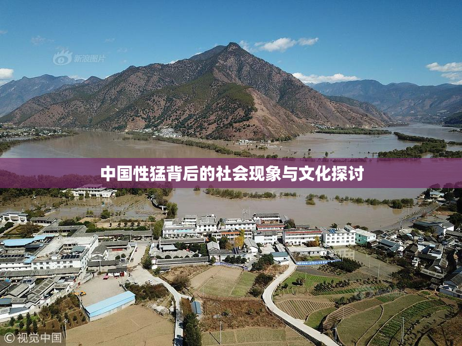 中国性猛背后的社会现象与文化探讨