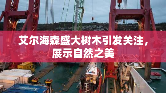 艾尔海森盛大树木引发关注，展示自然之美