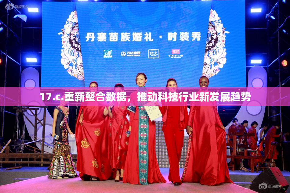 17.c.重新整合数据，推动科技行业新发展趋势