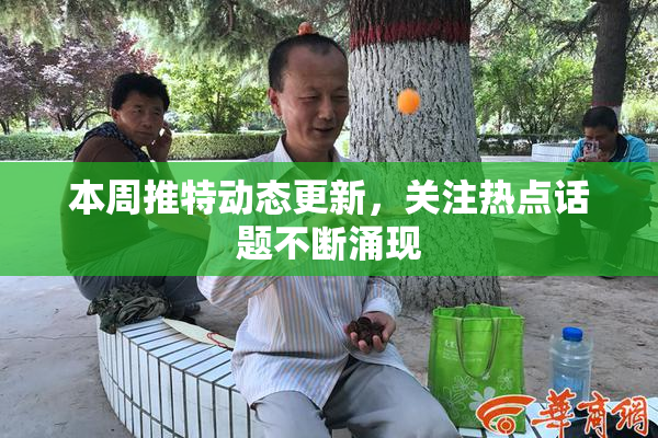 本周推特动态更新，关注热点话题不断涌现