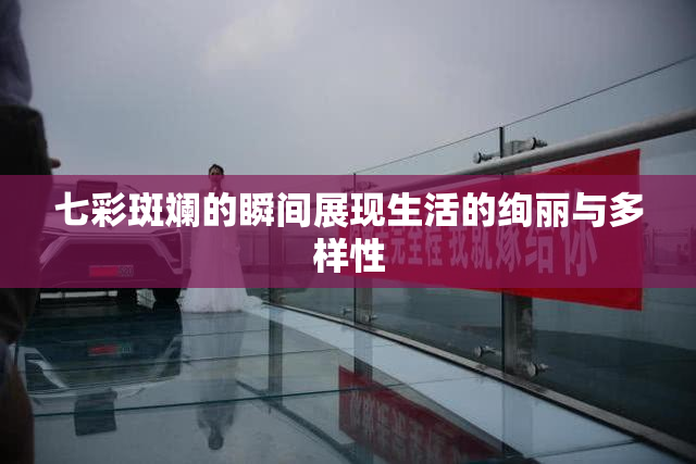 七彩斑斓的瞬间展现生活的绚丽与多样性