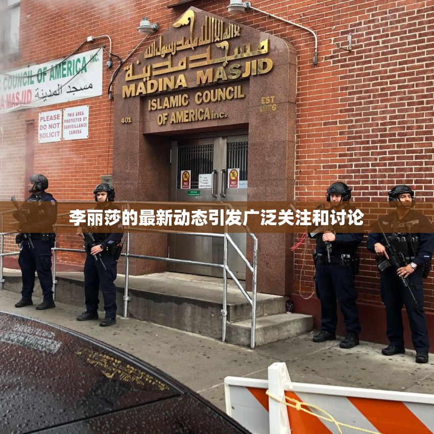 李丽莎的最新动态引发广泛关注和讨论