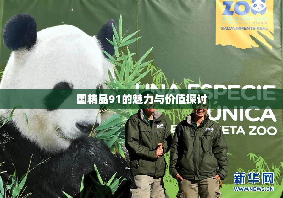 国精品91的魅力与价值探讨
